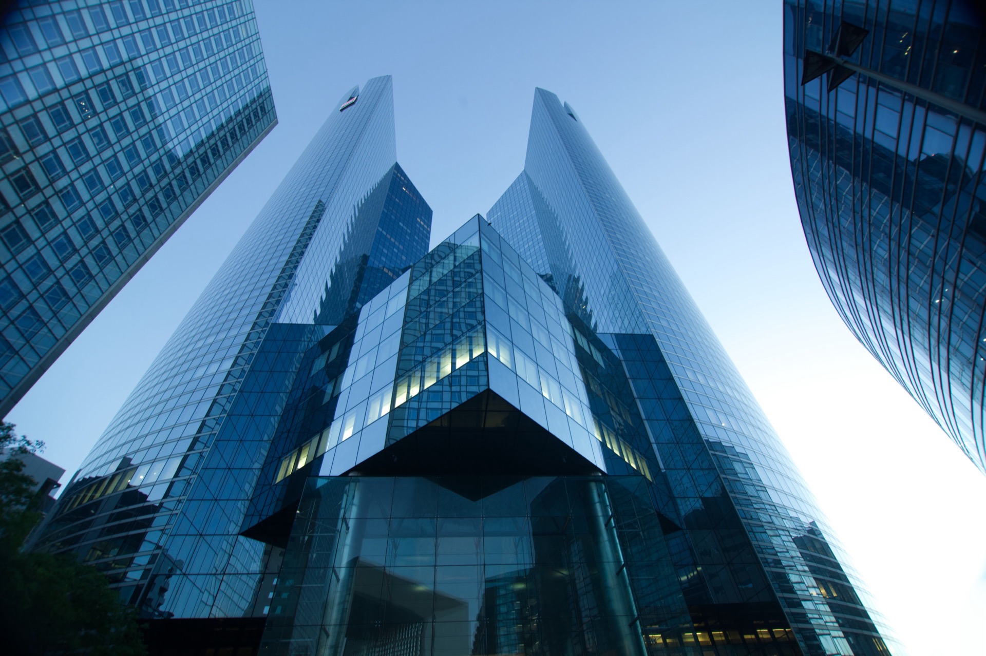 Sector corporativo